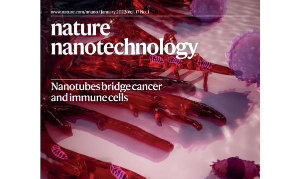 Nature Nanotechnology Journal cover